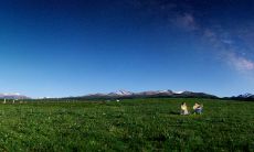 风水大师指点:如何根据风水学原则选择财运最佳的手机号码?