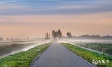 考虑到2023年2月27日和28日可能进行的手机购买，您认为这是一个明智的决定吗？