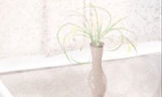 如何打动不同生肖女性的心——解析12生肖恋爱心理并分享追求技巧