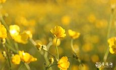 是不是2023年2月21日、22日、23日买手机更划算可靠？