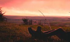 晚年孤苦的人的面容表现会是怎样呢？