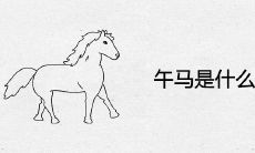 午马出生的人命运会受到何种影响?午马的出生时间是哪个时辰?