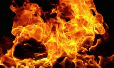 女性命理学中,丁火女性的相貌特点如何?这是否代表着富贵命?