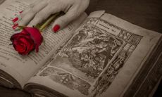 什么是“相冲相害相刑相克”的含义以及其在相关领域中的应用?