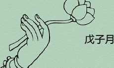 在农历历法中，戊子月对应的是哪一个月份？