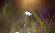 这三天（2023年2月12日、13日、14日）是买手机的好时机吗？