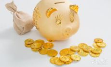 探究细节,揭示精明经商女性的生肖属性:哪些生肖女拥有优秀的经商头脑?