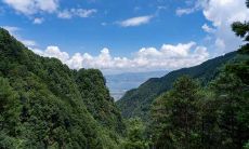 2020年农历十一月十八购车日能否与2021年1月1日比较,哪个时候买车更为合适?