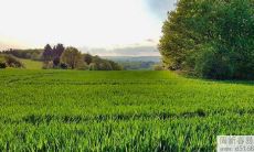 2022年风车摆放风水指南：如何选择最佳位置及正确摆放风车以获得最佳风水效果？