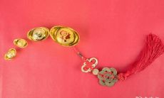 属蛇的女性有哪些物品能够较好地招财,而在哪些月份中出生的属蛇女性最容易陷入危机?