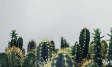 属鼠人的命运会因为谁而改变?——探究属鼠人的终身贵人