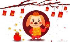 如何在2005年属鸡年佩戴何种饰品以加持招财,以及如何开展运势转换的措施?