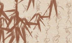 石榴木命适宜从事哪些生意?哪个行业最适合?