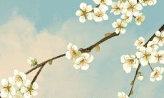 探究嫁入豪门的命理:揭秘配偶财富榜首的女命日柱及其八字分析