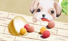 1970年属狗如何选择搭配招财饰品以达最佳财运 简单易行又有效的财富增长法则