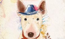 1990年属马的人佩戴哪些物品可以招财?此外,是否养鱼能够加快财运的到来?