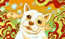 家居风水布局:如何让1989年生蛇的人在家中旺财?探讨属蛇人宜佩戴的招财物品!