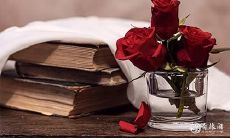 生肖女中最有智慧与修养的说话能手