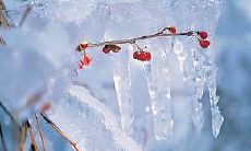 需要查询老黄历来寻找适合搬家的日期,询问农历六月中究竟有多少个符合条件的日子?