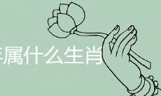 在2023年，哪个生肖会非常幸运？哪个月份的出生会带来最佳命运？