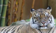 2022年全年的法定假日是哪几天?