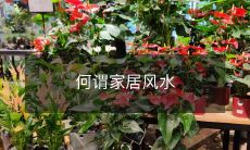 探讨中国古老传统文化的一部分——家居风水之意义、原理、注意事项以及对家居环境和居住者生活质量的影响