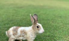 天生缺乏打牌天赋的三大生肖,如何在打牌中获得最佳财神加持:聚焦打牌最佳财神方位