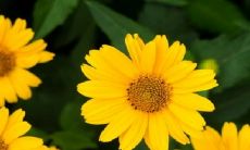 即将到来的2022年,蛇女真的面临着惊险艰难的命运吗?到底有哪些劫难困扰着她们?