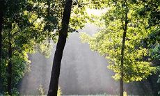 2023年2月22日至24日,是否考虑进行订婚?