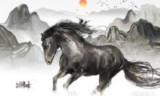 挑选最适合男士的星座女,让他们把幸福感受得更深刻