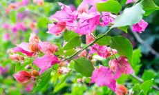 在所有行业中,哪些属于土属性行业?在这些行业中从事哪些职业相对较为优越?