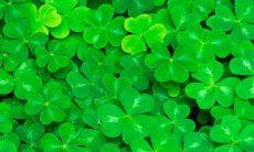 探究数字7在五行学说中代表的含义：数字7金木水火土代表什么？是否和数字7属火有关？