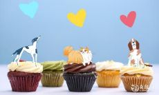 如何在1975年属兔的本命年中通过佩戴特定物品来提升财运、改善运势,让自己的生活更加成功繁荣?