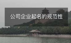 企业命名规范及其在公司命名中的重要性