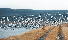 2023年2月10日至12日订婚，请问这个选定日期是否可接受？