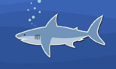 探讨店铺能够利用哪些招财物品来吸引财运并提高经营效益的方法