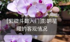 如何理解紫微斗数入门中影响星曜的客观情况?
