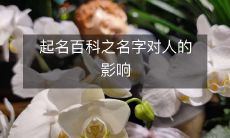 深度探究:名字对人心理和行为的影响——起名百科