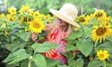 哪些血型属于事业心不太强的人士？