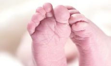 2022年即将到来，虎宝宝要避免在哪些月份出生？此外，关于有壬寅虎命的人，你知道什么？