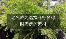 选择商标名称时需要考虑地名作为潜在素材的因素