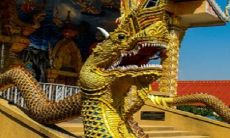 属龙人1988年命理分析：揭秘其命中缺失及一生命运走向