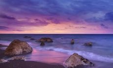 这四个星座女性的重心在事业,爱情只是生活中的点缀