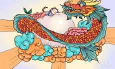 属龙的人如何选择乌龟镇宅招财的最强神兽？