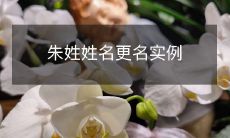 一个关于姓氏更名的真实案例——从朱姓到另外一个姓氏的转变