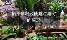 由于住屋问题所导致的逐渐恶化的贫困状况