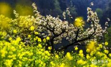 将于2023年2月27日和28日离职吉利是否是一个明智的决定?