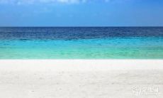 未来两年,2023年2月25日和26日是否是离开吉利汽车最佳时机?