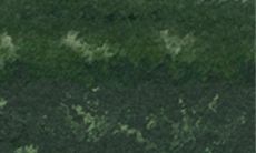 如何通过利用12生肖特点的爱情保鲜秘籍,让爱情长存?