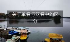 单一和双重命名之间的区别：探讨用于人名和事物的含义、历史和文化意义
